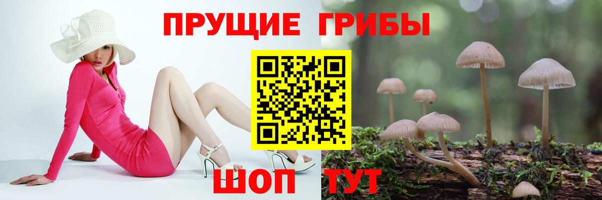 Псилоцибиновые грибы GOLDEN TEACHER Алексин